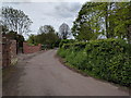 Lane passing Coxley Mill, Upper Coxley