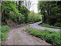 Llwybr Gilfach Path