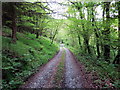 Llwybr Tir y Graig Path