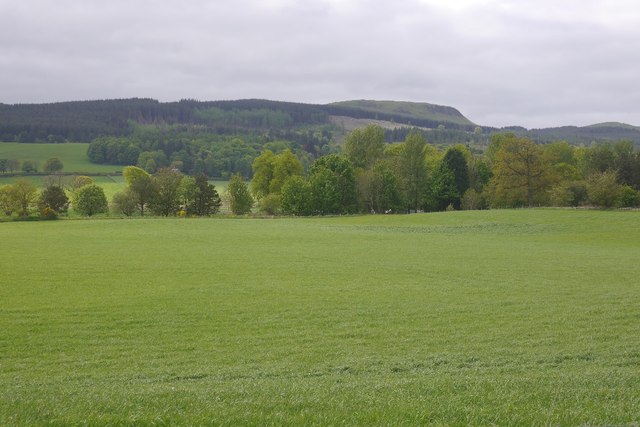 Field, Mawmill