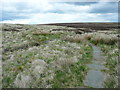 SD9734 : The Pennine Way crossing a tributary of Black Dike, Wadsworth by Humphrey Bolton