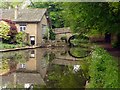 Reflections in the Macclesfield Canal 