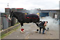 SK2423 : Shoeing a horse! by Dave Pickersgill