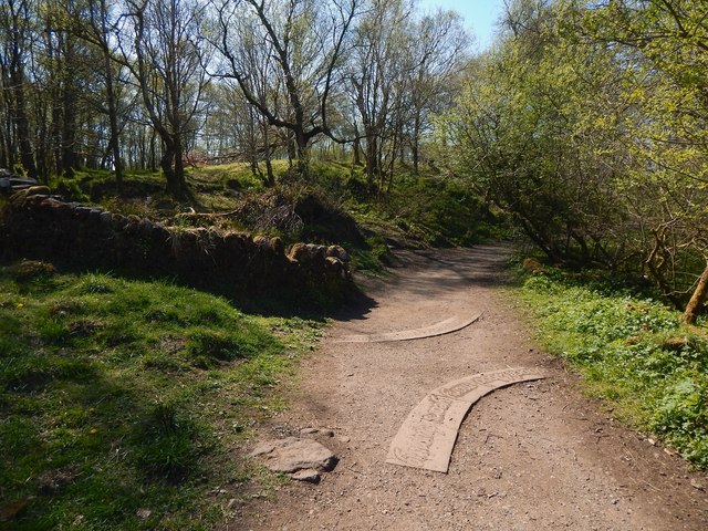Path in Mugdock Wood