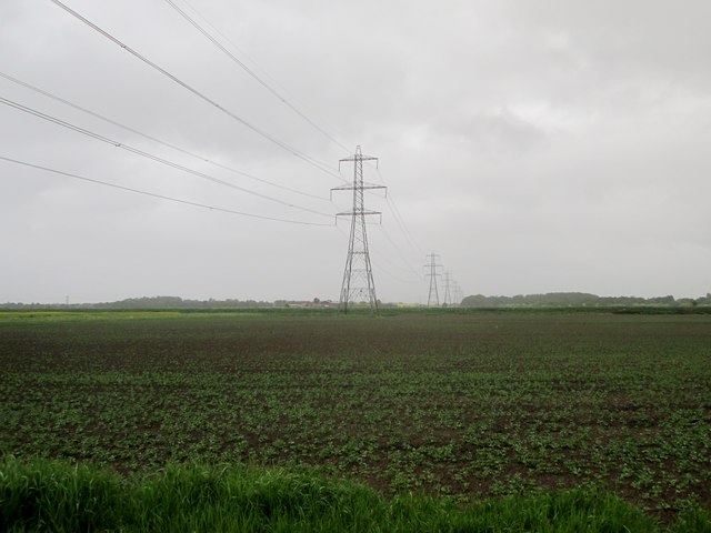 Pylons  over  fields  toward  Wawne