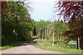 Parking area at Pitmedden Wood