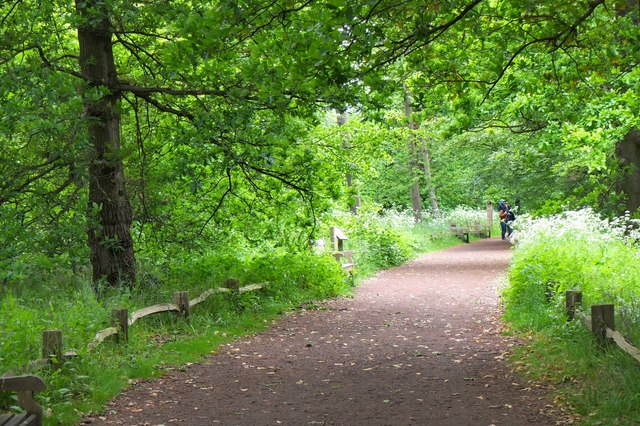 Woodland path, Kew Gardens