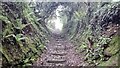 Steep Footpath between Shute Lane and Quarry Road