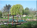 Allotments east of Ladysmith Road, EN1 (2)