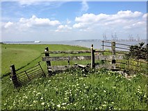 TQ7479 : Stile on the footpath, near Cliffe Marshes by Chris Whippet