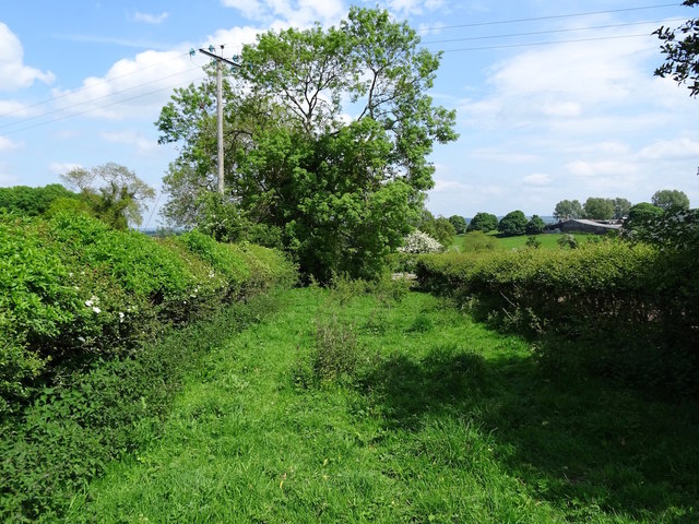 Farm track and footpath