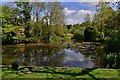 Ewelme Duck Pond