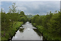 Pendle Water at Lomeshaye