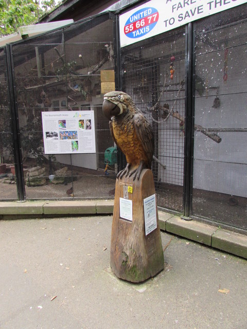 Wooden Polly outside Bournemouth Aviary