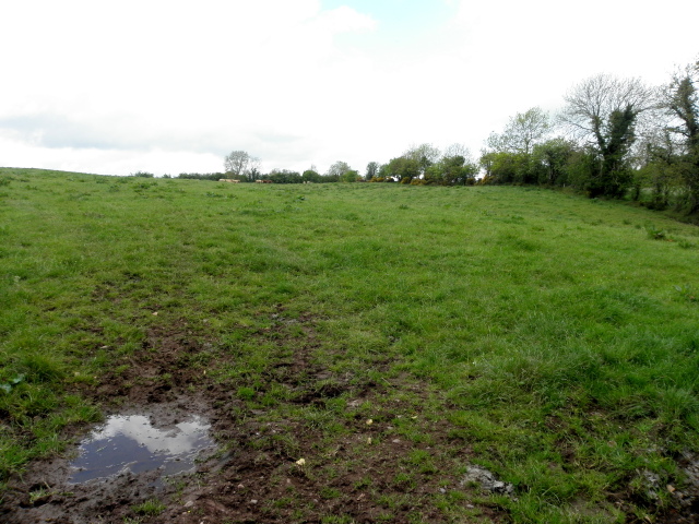 Muddy field, Eskragh