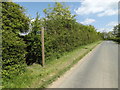 Footpath to the B1078 Lower Road & Clay Lane