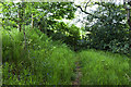 Stile on the footpath to Raven