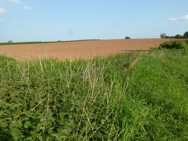 Arable field beside Egg Lane