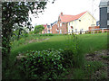 New houses beside the footpath