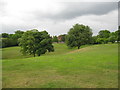SP0494 : Distant view across Red House Park - Great Barr, Sandwell, West Midlands by Martin Richard Phelan