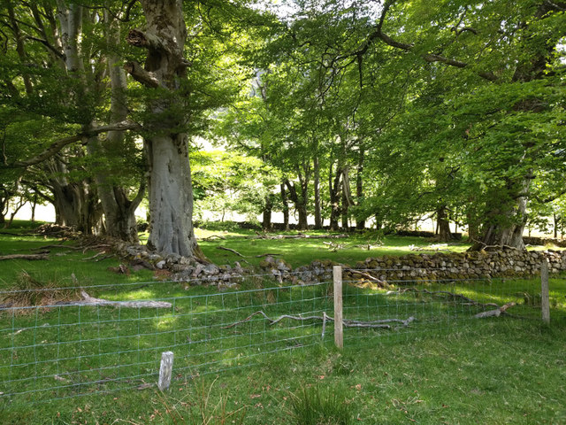 Old Grave Yard, Ach-nan-Con, Glen Nevis, 18th C burial ground