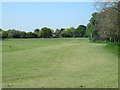 (Part of) Enfield Playing Fields