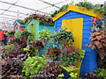 TQ2877 : Colourful sheds, Chelsea Flower Show by Oast House Archive