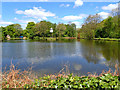 Dovecote, Strines Fishing Lake