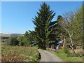 The John Muir Way at Carbeth Huts