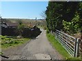 Approaching the main road at the Carbeth Inn