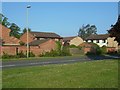 Back view of houses in Woodside & Highgrove