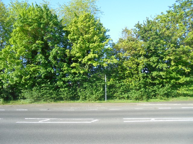Bus stop on Hawley Lane