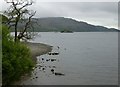 Banks of Ullswater