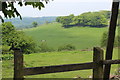 SO1800 : Across the valley from the entrance to Twyn Simon Farm by M J Roscoe