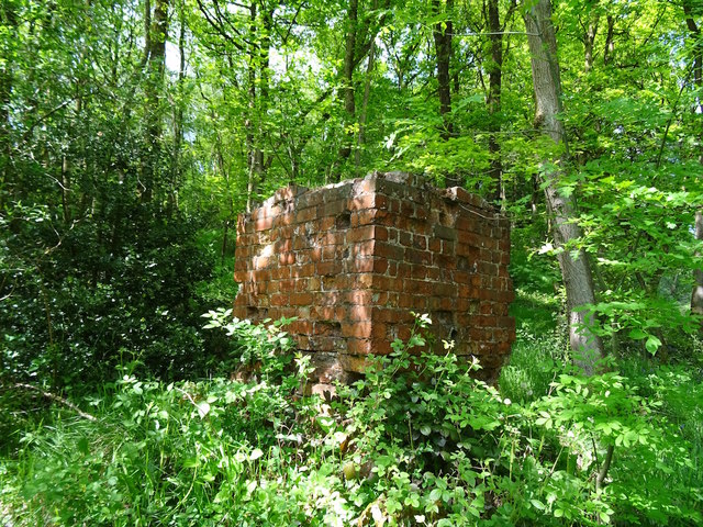 Old workings in Consall Wood