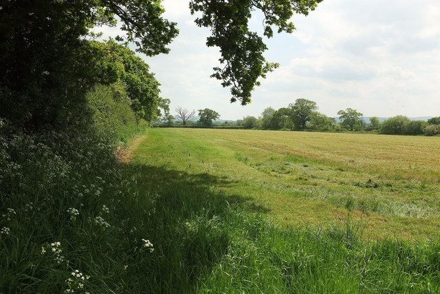 Field near Lymburghs Farm