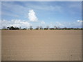 Flat field near  Winterton-on-Sea