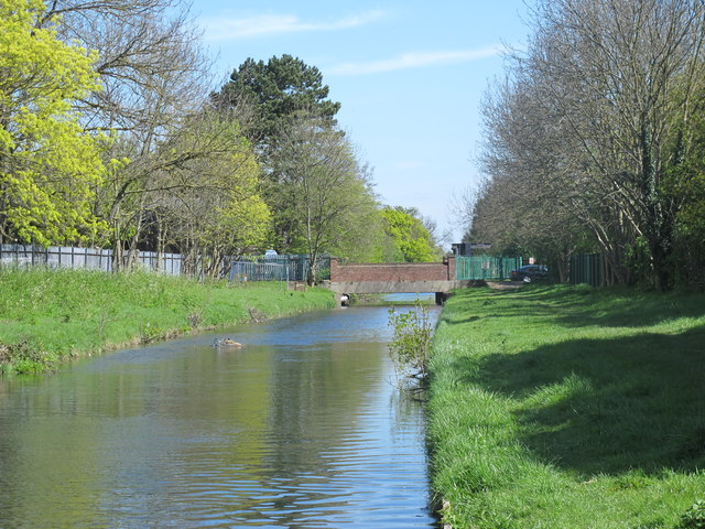 The New River south of Hoe Lane