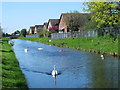 The New River between Carterhatch Lane and Hoe Lane (4)