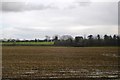 Ploughed field