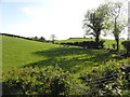 Fernaghandrum Townland