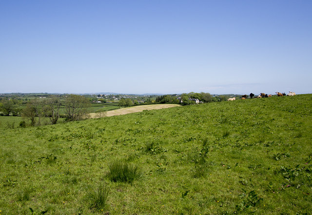 Fields near Carryduff