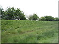 Flood bank beside National Cycle Route 72