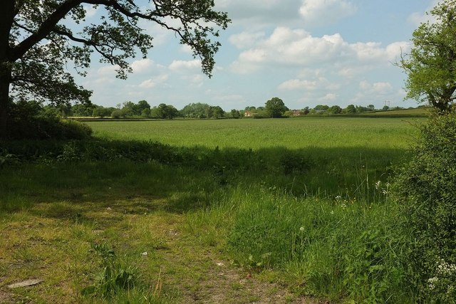 Field by the B3091