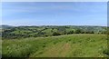 Panorama view from the lane near Yearlstone, looking south-west