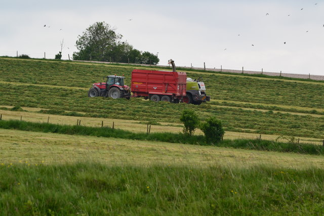 Tractors working in field on Bokerley Down