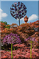 TQ0658 : Alliums - real and in sculpture by Ian Capper