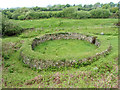 Cattle Pound near Newport