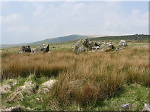 SN1132 : Cerrigmarchogion on the Preseli Hills by Gareth James