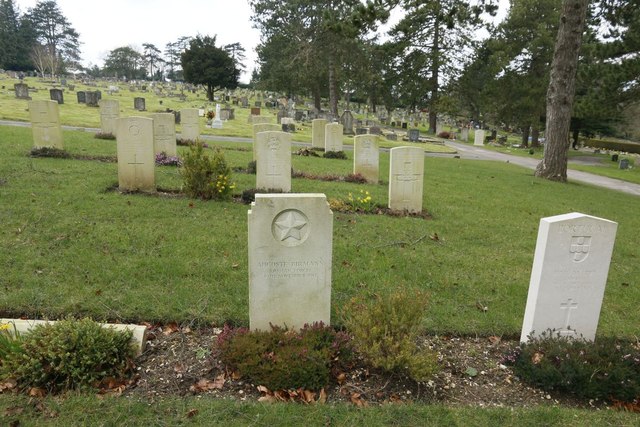 Morn Hill War Graves